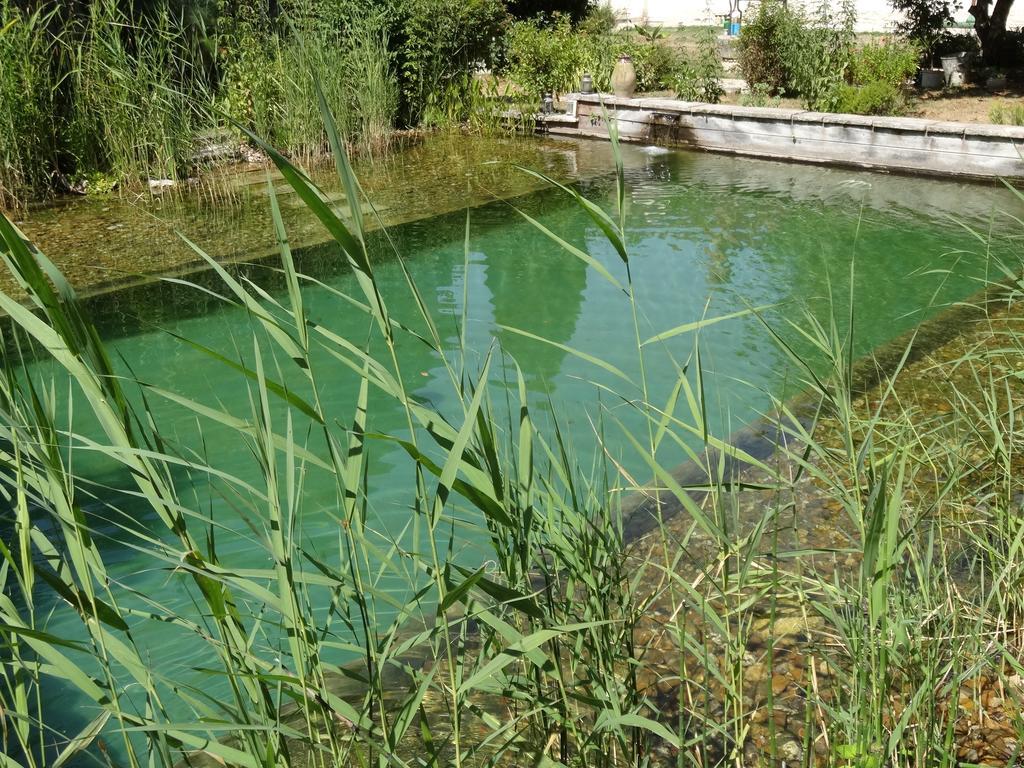 Saint-Julien-de-Chédon Jardin De Canaan מראה חיצוני תמונה